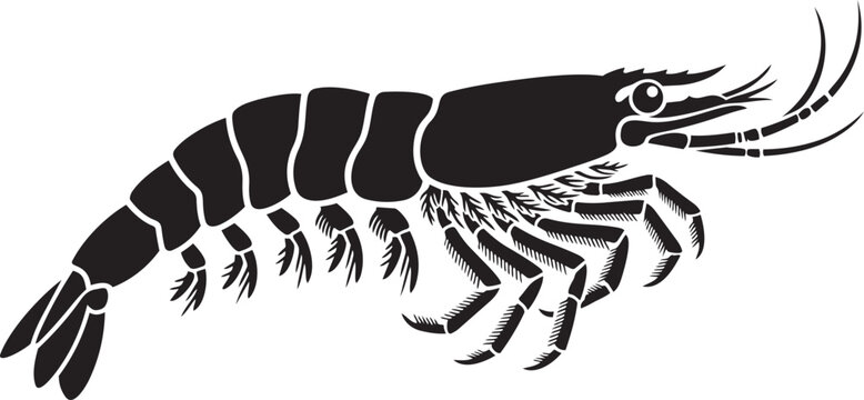 Black silhouette of a shrimp a marine crustacean vector illustration for seafood menus culinary concepts and ocean life themes
