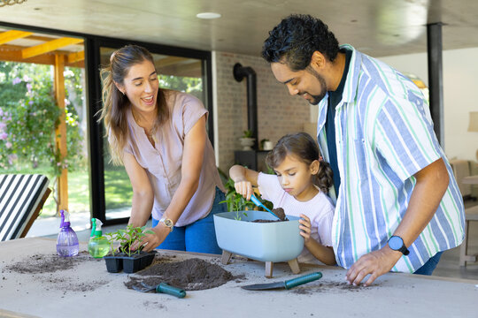 Family with child potting seedlings on sunroom table with blue planter and trowels