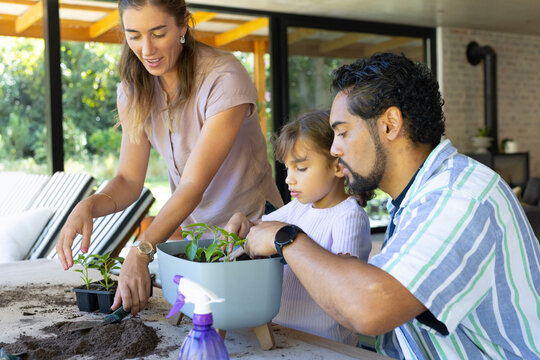 Family mother father child planting seedlings on patio, handling potting soil, gray planter