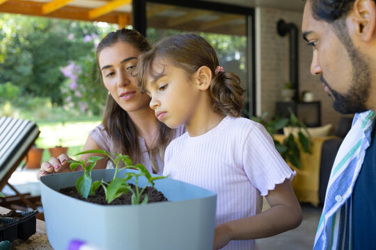 Family gathering around pale-blue planter on covered patio, child in pink inspecting seedlings