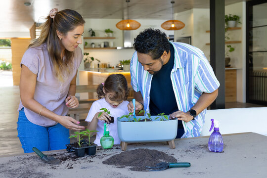 Family with child potting seedlings on kitchen table at home, using planter, trowel, soil