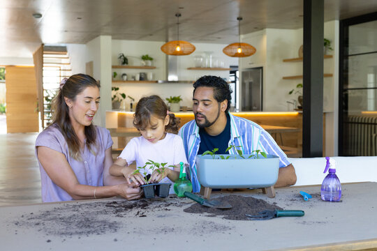 Diverse family with child planting seedlings and arranging potting soil at kitchen table