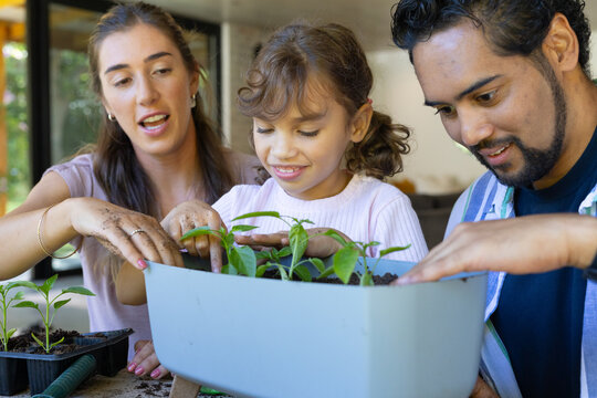 Family with woman, child girl, man planting seedlings in rectangular planter on table near windows
