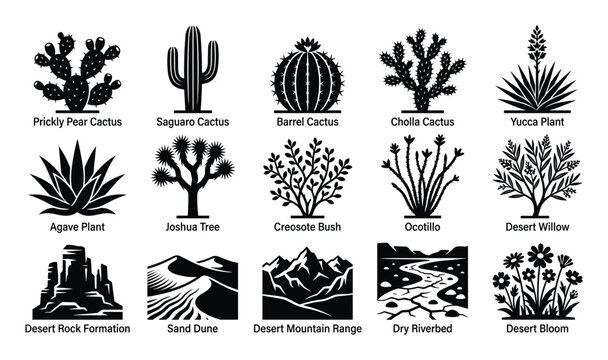 Comprehensive collection of black silhouette desert plants and landscape elements