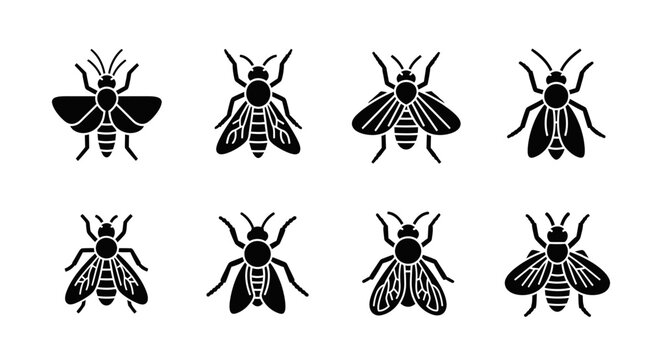 Set of Insect Icons: Flies, Moths, and Bees - Vector Graphics