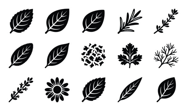 Collection of various black silhouette herb and plant icons