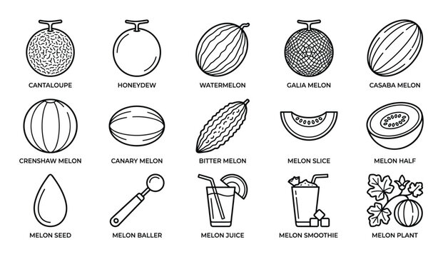 Comprehensive collection of various melon types, slices, seeds, and related items presented as simple black outline icons