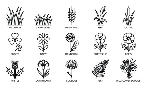 Collection of various outline icons depicting different types of grasses, flowers, and plants