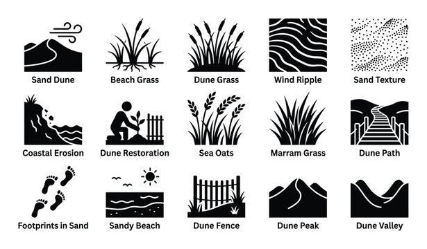 Comprehensive collection of black and white glyph icons representing various elements of sand dunes and coastal environments