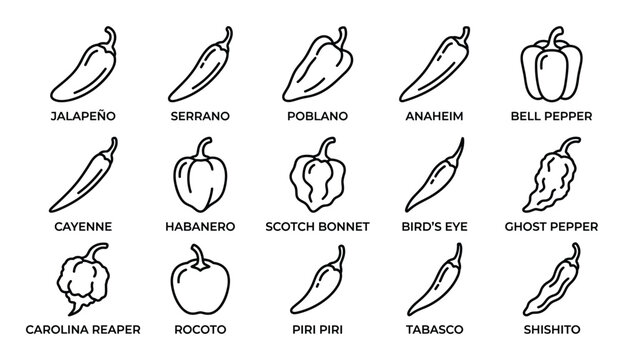Various types of chili peppers are illustrated with simple black outline icons