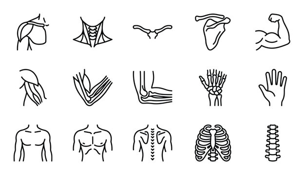 Collection of human anatomy outline icons featuring various body parts and skeletal structures