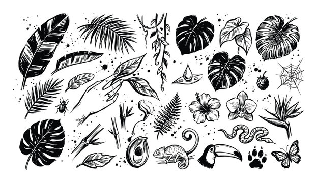 Collection of hand-drawn tropical elements in black and white, featuring various leaves, flowers, and animals with ink splatters