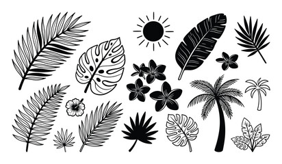 Obraz premium Various black and white tropical leaves, flowers, palm trees, and a sun icon are arranged