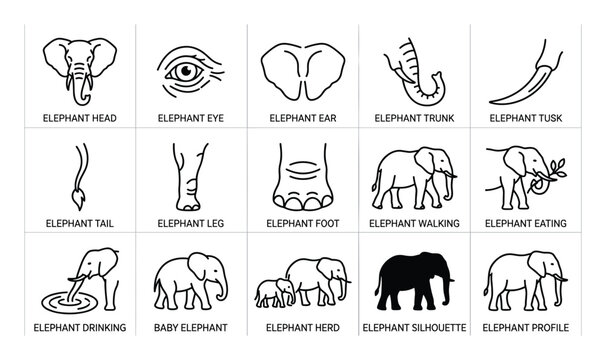 Comprehensive collection of black outline elephant icons and their body parts, presented