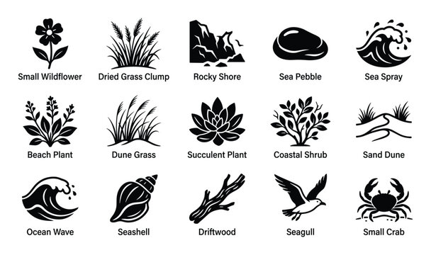 Collection of black and white vector icons representing various natural elements found in coastal environments