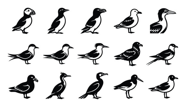 Collection of various stylized black and white seabird silhouettes, including puffins, gulls, and cormorants