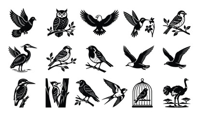 Naklejka premium Collection of diverse bird silhouettes in black and white, including an owl, eagle, hummingbird, and various songbirds, depicted in a clean, graphic style