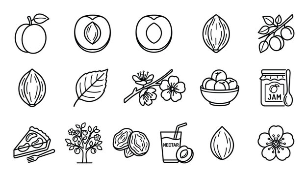 Collection of black outline icons representing various aspects of peaches and apricots