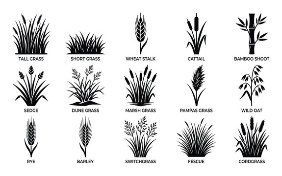 Collection of various black silhouette grass and plant icons is displayed