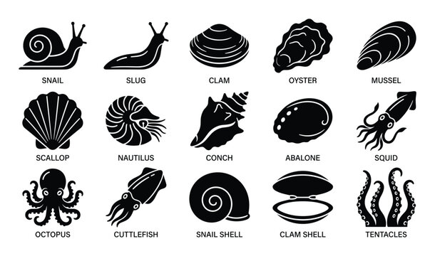 Comprehensive collection of various black mollusk and seafood icons, including snails, clams, oysters, and squids, presented