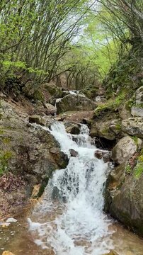 waterfall in the forest. 4k video. Tokat,Turkey