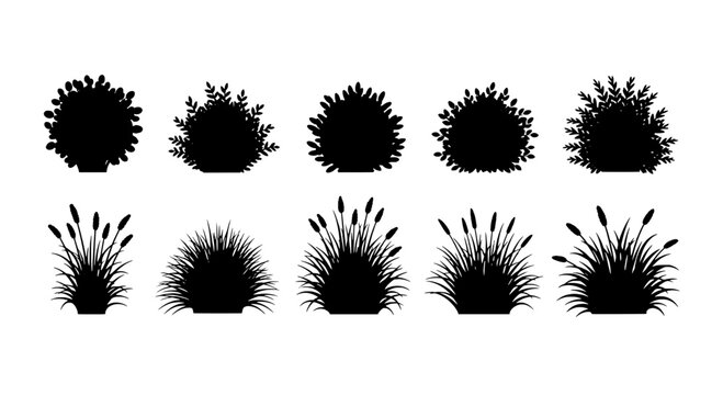 Bushes silhouette set with various shapes and textures featuring plants, nature, garden with landscape and vegetation elements for black, white