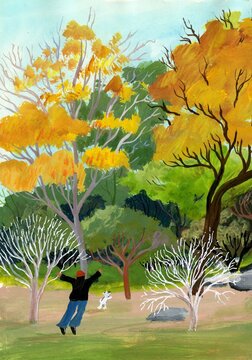 Colorful hand painted forest and park landscape illustrations collection
