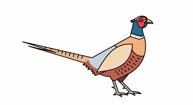 A stylized, colorful pheasant with a long tail stands on thin legs