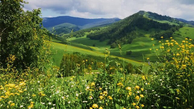 Vibrant green hills roll gently under soft clouds. Yellow wildflowers bloom in foreground. Scene feels peaceful, serene, and untouched. Ideal for travel, nature, or wellness content