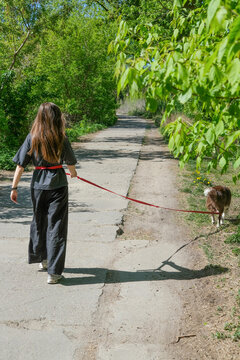 Rear view of a young woman with long brown hair walking on a sunny outdoor path. She wears a black outfit and has a red dog leash tied around her waist as she enjoys a walk in the green park area