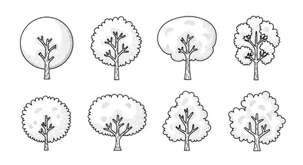Obraz premium Tree hand drawn doodle icons set with simple line art trunks and leafy crown shapes for nature design