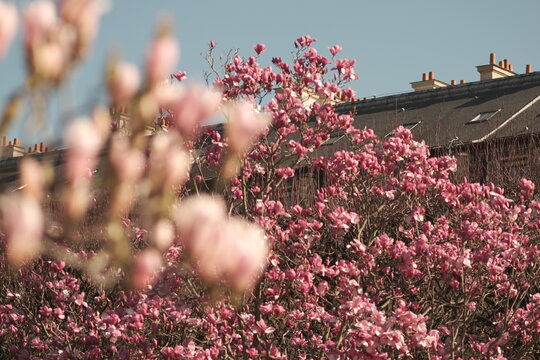 Paris, France