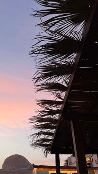 Silhouetted palm leaves against a pastel sunset sky. The scene captures a tranquil evening atmosphere with soft colors blending in the background.
