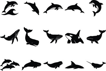 Large set of black marine mammal silhouettes including whales dolphins orca narwhal and beluga for professional graphic design © MdSumon