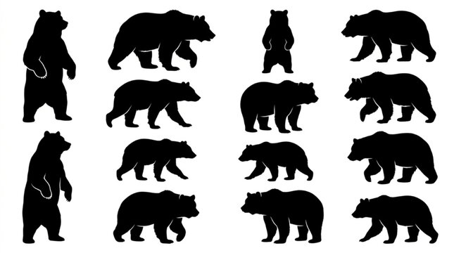 Black bear silhouettes in various poses isolated on white background, Vector