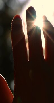 Female hand touching the sun - slow motion, sunlight passing through fingers, pine forest mountain at sunset, closeup shining sun and the branches of the trees, season travel nature idyllic