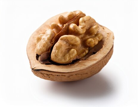 walnut nutshell on white