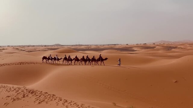 Camels caravan in Sahara desert in Merzouga Morocco