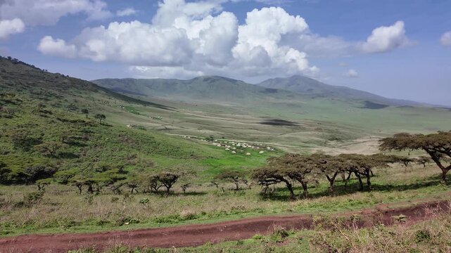 traditional maasai round huts in a green landscape with acacia and distant hills