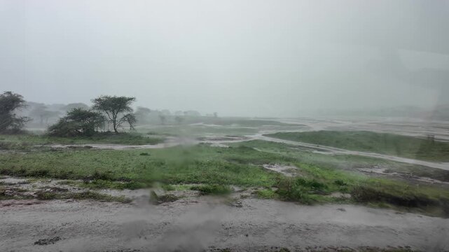 heavy rain during a safari in the ndutu region of the southern serengeti