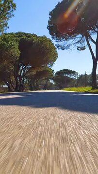 POV point of view first person view driving on a empty landscape road in summer - Vertical Video