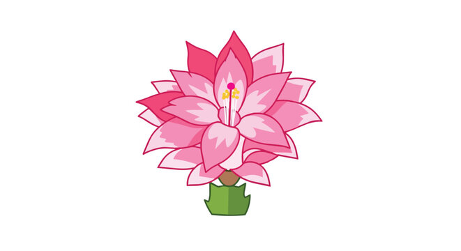 Beautiful Pink Christmas Cactus Flower Illustration Blooming on White Background