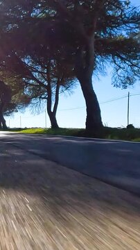 POV point of view first person view driving on a empty landscape road in summer - Vertical Video