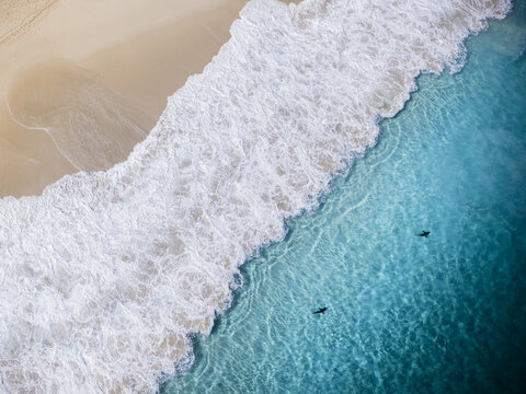 Aerial view of Injidup Beach with sharks swimming in turquoise water near the white sand and crashing waves in Yallingup, Western Australia, Australia.