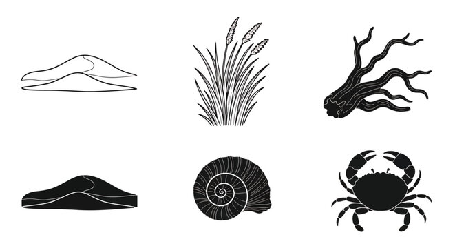 Seafood ocean creatures icons set.