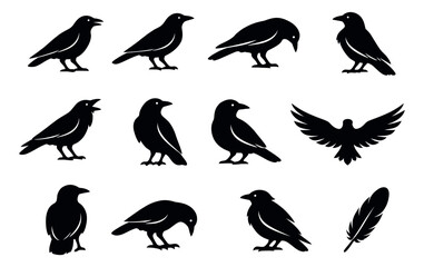 Fototapeta premium Black silhouette bird set featuring various crow and raven poses with a feather for wildlife themes
