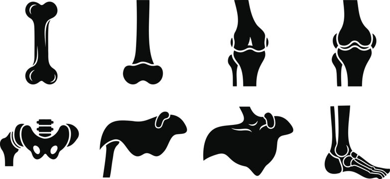 Anatomical bone structure and joint health vector silhouette illustration for orthopedics.