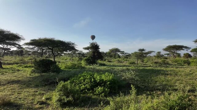 A colorful hot air balloon floats peacefully above the lush green plains of the southern Serengeti in the Ndutu region of Tanzania. The aerial safari scenery captures the vast landscape, soft morning 