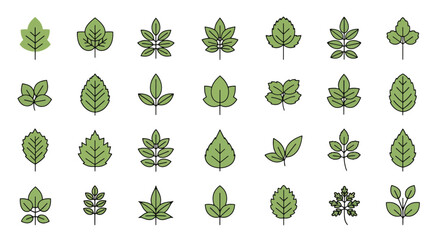 Fototapeta premium Collection of various green leaf shapes.