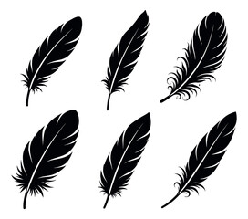 Obraz premium Stylized hand drawn feather set featuring various black plume illustrations for graphic design